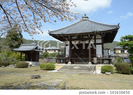Spring Osawa Pond Seitendo, Saga, Ukyo Ward, Kyoto City 101616650