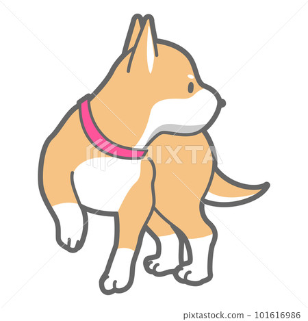 Vector illustration of Shiba Inu looking back 101616986