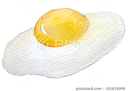 Fried egg watercolor illustration hand-drawn illustration 101616999