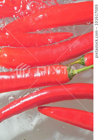Red hot peppers in water splash on white background. Splashing water and bubbles. Vertical image, close-up. Red hot peppers in water splash on white background. Splashing water and bubbles. Vertical image, close-up. 101617089
