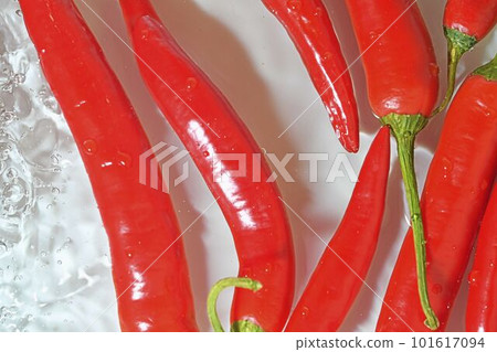 Red chilli peppers on white background. Hot chilli peppers close-up in liquid with bubbles. Splashing red chilli peppers in water. Macro image of vegetable in water Red chilli peppers on white background. Hot chilli peppers close-up in liquid with bubbles. Splashing red chilli peppers in water. Macro image of vegetable in water 101617094