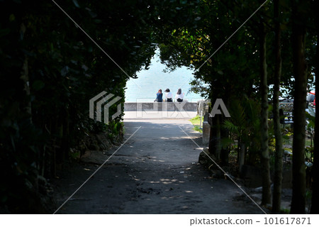 通往大海的路 101617871