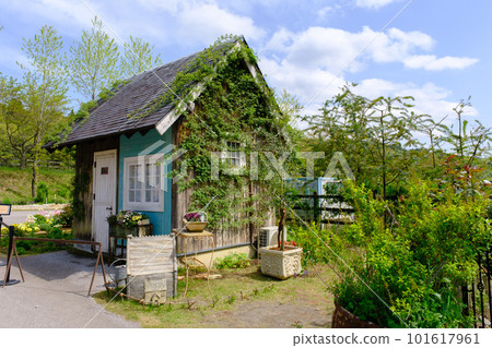 春天 Rosenberry Tawada 英國花園 101617961