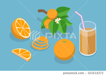 3D Isometric Flat Vector Set of Orange Fruit 3D Isometric Flat Vector Set of Orange Fruit 101618372
