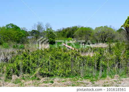 Wakamiya Bridge is a submerged bridge over the Koma River that flows through the city of Sakado. Wakamiya Bridge is a submerged bridge over the Koma River that flows through the city of Sakado. 101618561