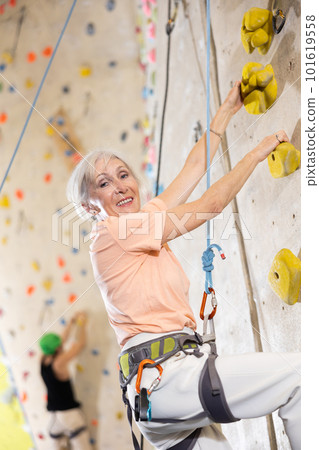 positive muscular retired woman in gym climbing up artificial rock climbing wall positive muscular retired woman in gym climbing up artificial rock climbing wall 101619558