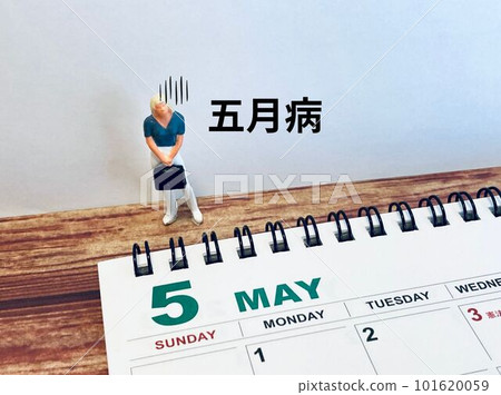 A woman suffering from May disease (miniature) and a May calendar A woman suffering from May disease (miniature) and a May calendar 101620059