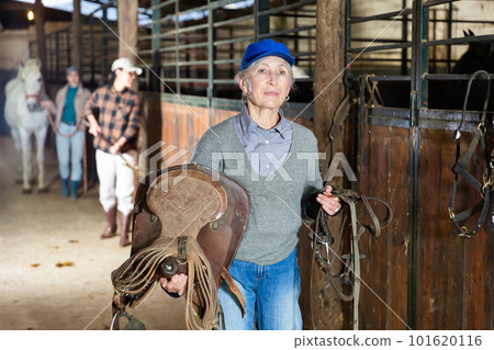Woman horse breeder carrying leather saddle Woman horse breeder carrying leather saddle 101620116