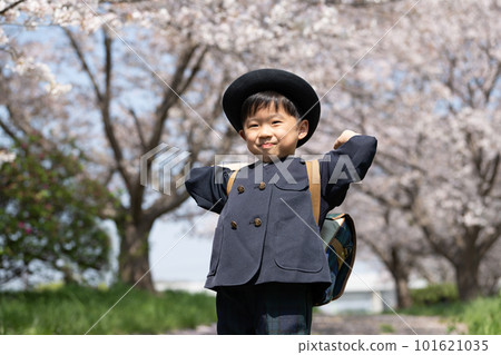 Toddler wearing a kindergarten uniform walking on a cherry blossom road 101621035