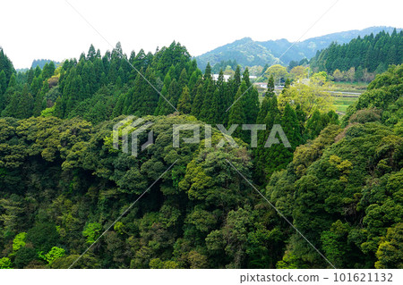 Takachihogo Miyazaki Prefecture 101621132