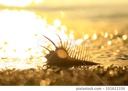 Nagisa的Honeymai 101621330