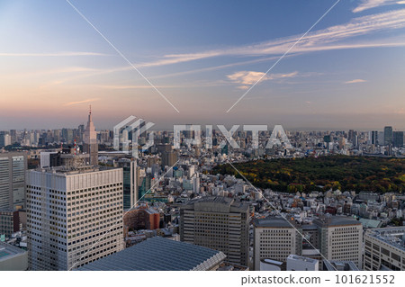 《東京》東京市中心的黃昏・從新宿副中心眺望 《東京》東京市中心的黃昏・從新宿副中心眺望 101621552