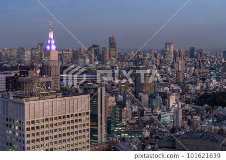 “東京”東京市中心的夜景，從新宿副中心看 101621639