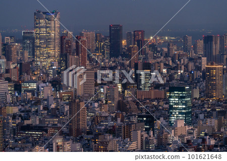 “東京”東京市中心的夜景，從新宿副中心看 101621648