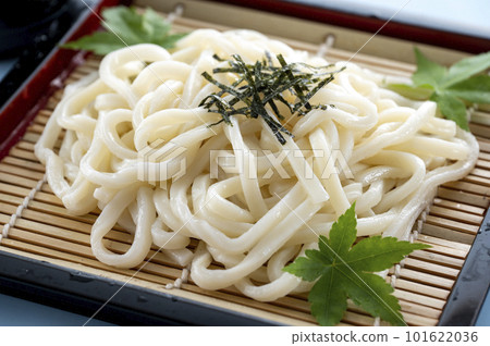 delicious cold udon delicious cold udon 101622036