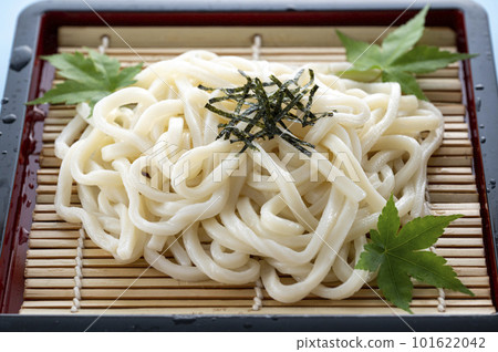 delicious cold udon 101622042