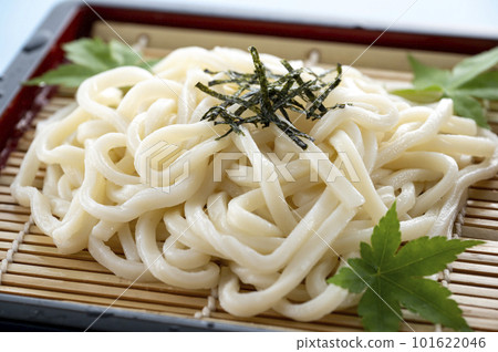 delicious cold udon delicious cold udon 101622046