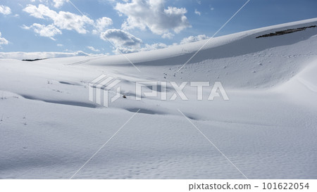 Snowy landscape of Tottori Sand Dunes Snowy landscape of Tottori Sand Dunes 101622054