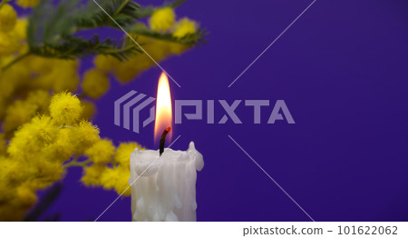 Candle flame and yellow mimosa flowers over blue 101622062