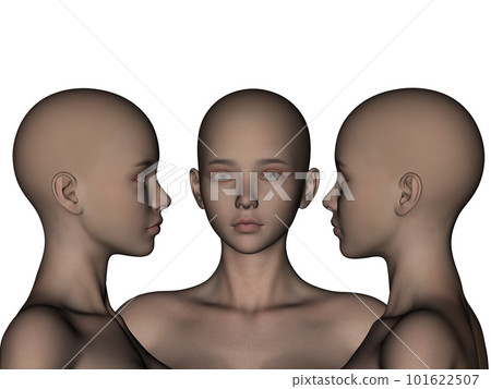 3d render. And the angle of a female bald head on a white background. 3d render. And the angle of a female bald head on a white background. 101622507
