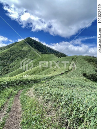 《Okayama Prefecture, Hiruzen》Blue sky and refreshing summer Hiruzen 《Okayama Prefecture, Hiruzen》Blue sky and refreshing summer Hiruzen 101622669
