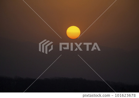 yellow sand and sunrise yellow sand and sunrise 101623678