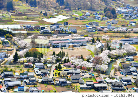 Around Tatsuoka Castle Goryokaku (Saku City, Nagano Prefecture) [2023.4] 101623942