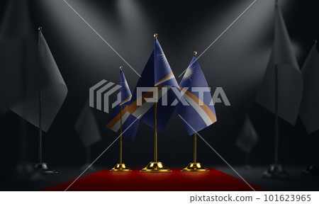 The Marshall national flag on the red carpet The Marshall national flag on the red carpet 101623965