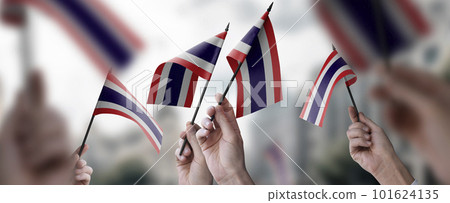 A group of people holding small flags of the Thailand in their hands 101624135