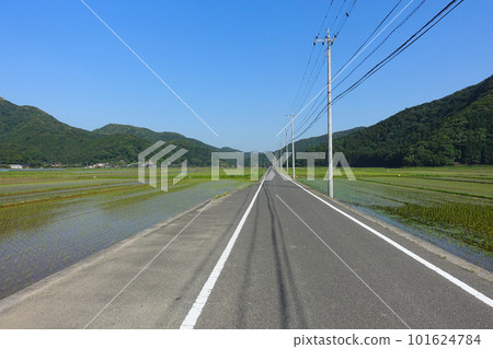 一條穿過鄉村風景的單行道 101624784