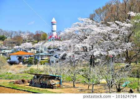 稻荷山公園周邊（長野縣佐久市）[2023.4] 101624794