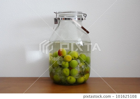 自製梅酒 101625108