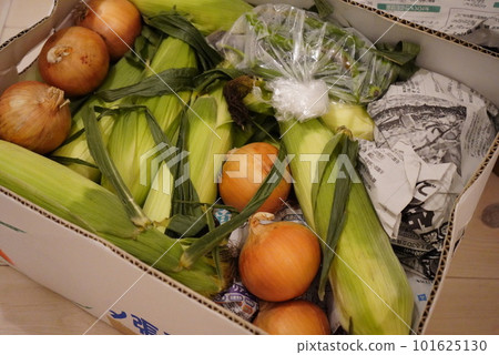 新鮮蔬菜送貨上門 新鮮蔬菜送貨上門 101625130