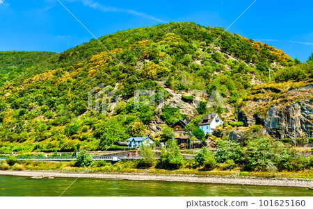 Houses at Kaub in the Upper Middle Rhine Valley, UNESCO world heritage in Germany 101625160