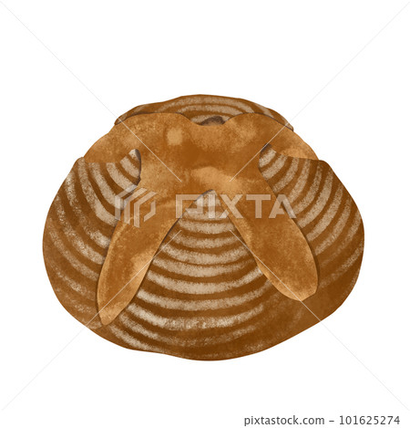 Pain de campagne，新鮮出爐的法式麵包 101625274