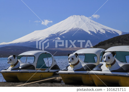 Lake Yamanaka and swans seen from Lake Yamanaka Lake Yamanaka and swans seen from Lake Yamanaka 101625711