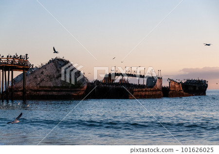 Shipwreck near the Californian coast 101626025