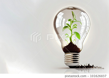 A light bulb growing in soil with sunshine and water promotes the creative idea of hydroponic horticulture for sustainable energy and environment concept. on white background. Ai Generative A light bulb growing in soil with sunshine and water promotes the creative idea of hydroponic horticulture for sustainable energy and environment concept. on white background. Ai Generative 101626837