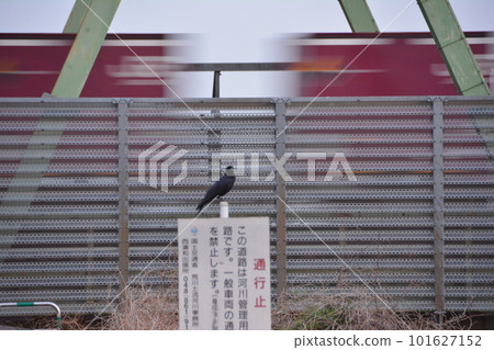 停在招牌上的櫻花莊水門烏鴉和武藏野線貨運列車 停在招牌上的櫻花莊水門烏鴉和武藏野線貨運列車 101627152