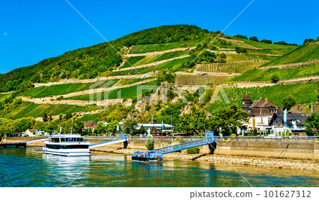 Ruedesheim am Rhein town on the Rhine river in Germany Ruedesheim am Rhein town on the Rhine river in Germany 101627312