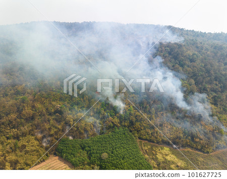 The biggest cause of forest loss is agricultural deforestation ,environmental damage in Southeast Asia , global warming and environment. 101627725