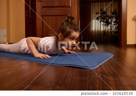 Determined little girl doing push ups, four limbed staff exercise, staying in plank on a blue fitness mat while practicing stretching and yoga indoors. Healthy habits and active lifestyle concept Determined little girl doing push ups, four limbed staff exercise, staying in plank on a blue fitness mat while practicing stretching and yoga indoors. Healthy habits and active lifestyle concept 101628539