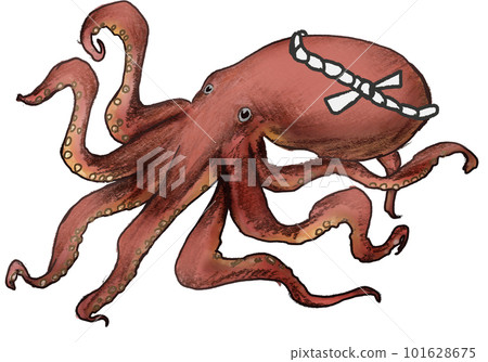 A realistic octopus wrapped in a headband 101628675