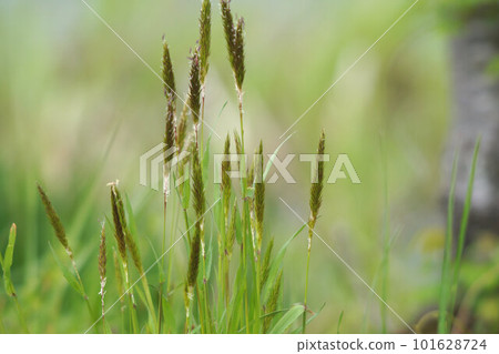 Hurghaya Mid-April Hurghaya Mid-April 101628724