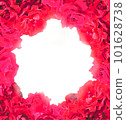 紅玫瑰框架 101628738