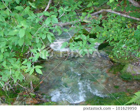 Back Bandai Gokuonuma Hiking Course Back Bandai Gokuonuma Hiking Course 101629950