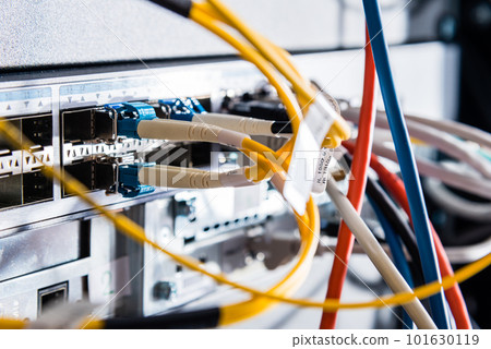 colorful patch cables connected to switch - high speed internet concept colorful patch cables connected to switch - high speed internet concept 101630119