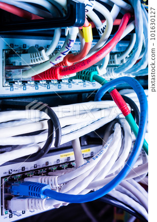 various ethernet cables plugged in network switch 101630127