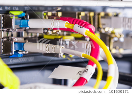 Detail of server with patch cables plugged in ethernet ports Detail of server with patch cables plugged in ethernet ports 101630171
