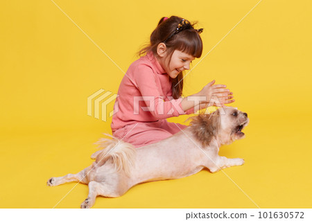 Little girl with her puppy dog sitting on floor and playing together, child clapping hands and laughing happily, kid wearing rose clothing, posing isolated over yellow background. 101630572